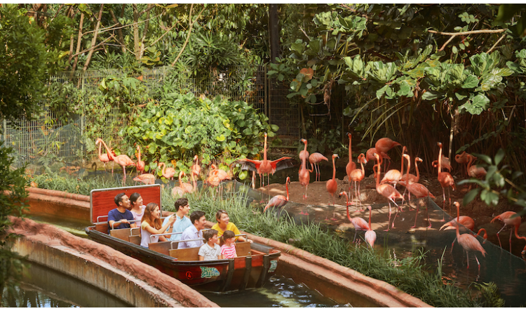 770-445-1-62384284cc41a