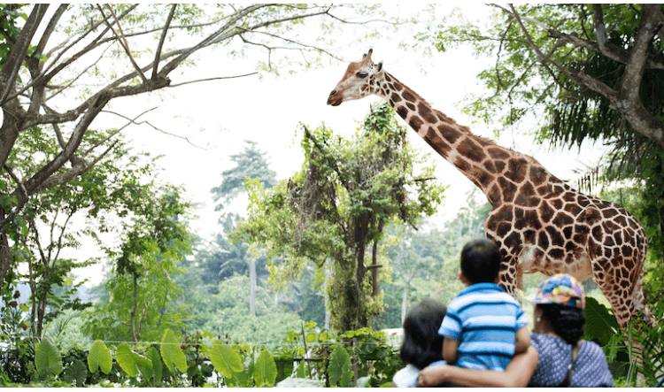 770-445-1-623c19d9167f9