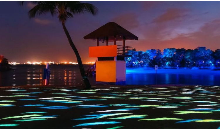 770-445-1-623def44d19af