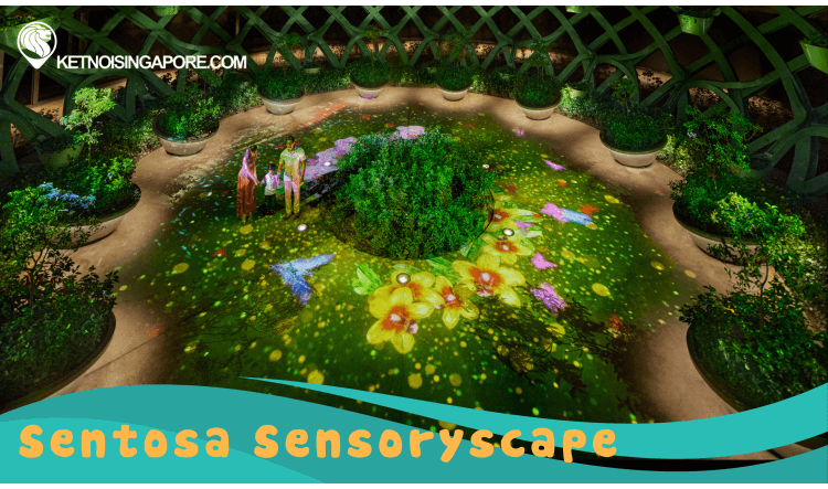 bản_sao_của_chưa_có_tên_(140_×_50_cm)_(8)-660132f32af40