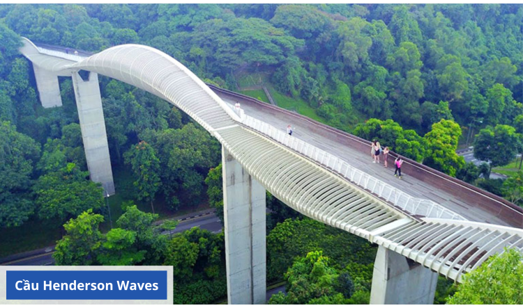 cầu-henderson-waves-65a65dac719e3 (1)