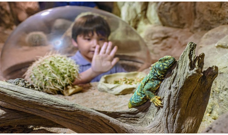 Top 10 Trải Nghiệm Không Thể Bỏ Lỡ Khi Đến Singapore