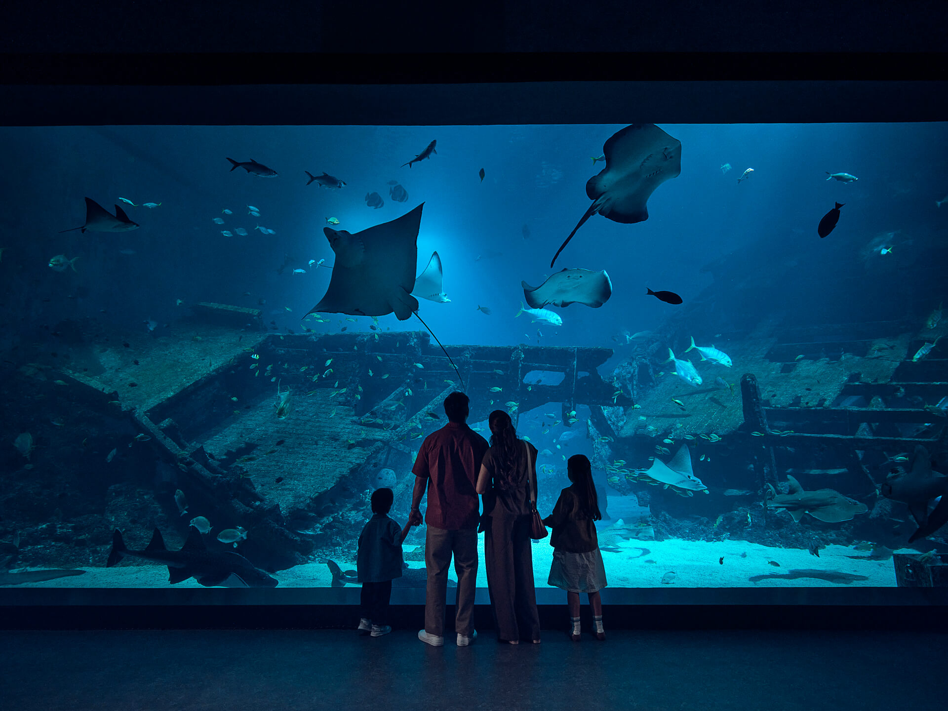 Thủy cung Singapore Oceanarium