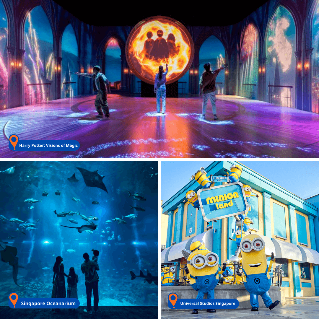 singapore-vui-pass-1-1