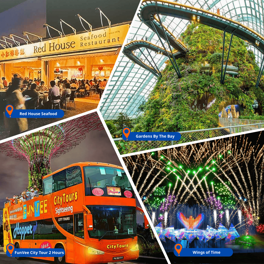 singapore-vui-pass-2-1