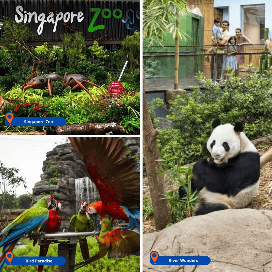 singapore-vui-pass-3-1